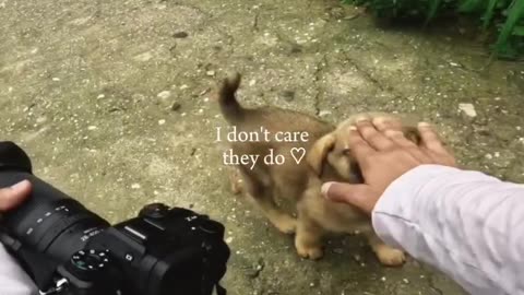 Funny songs