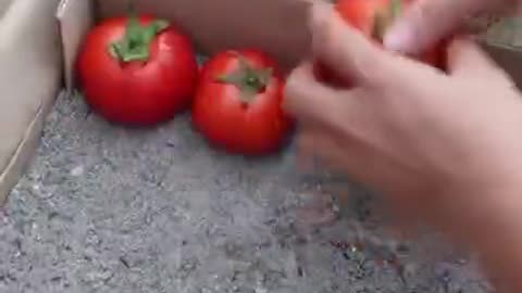 Starting fire