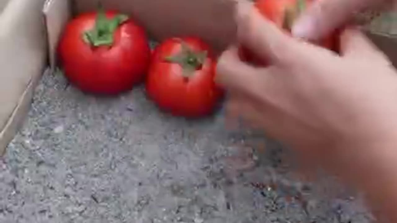 Starting fire