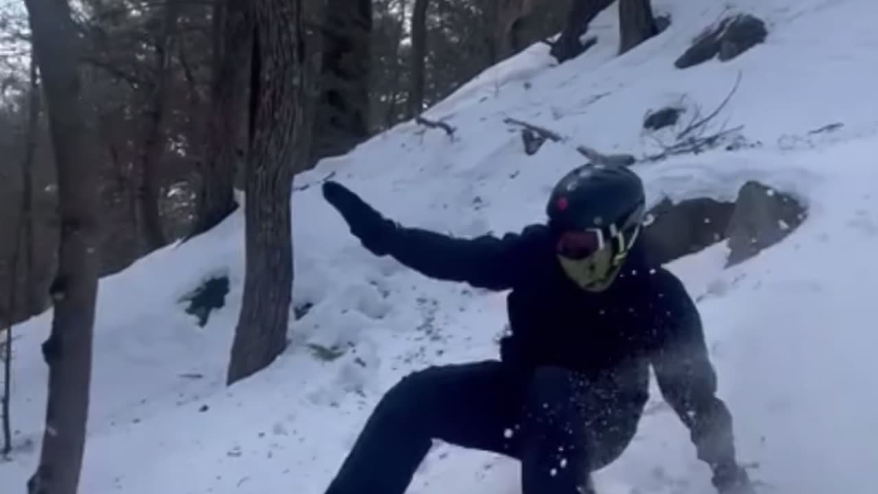 Skier Crashes Right Into Tree