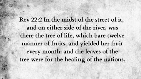 Martus Ministry -353- Woman to garden