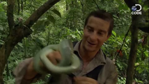 Bear Grylls in Borneo Jungle Man vs Wild (4_6) - DCODE by Discovery