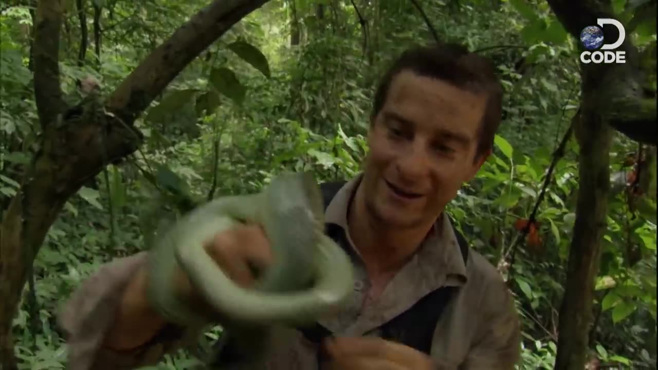 Bear Grylls in Borneo Jungle Man vs Wild (4_6) - DCODE by Discovery