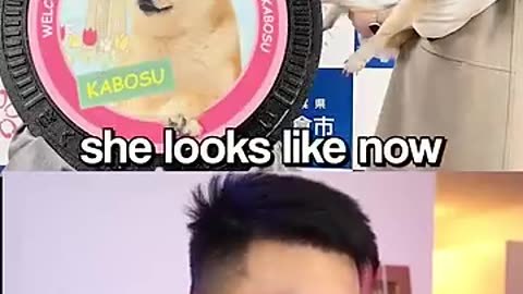 Amazing: How These Famous Memes Look Today