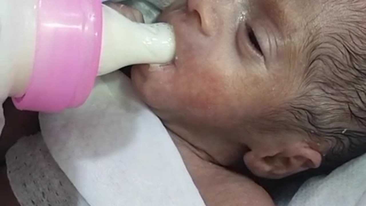 Feeding a newborn is a tender moment ve and connection.