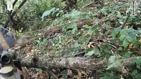 Special Operations Forces group successfully cleared enemy positions in the forest massif