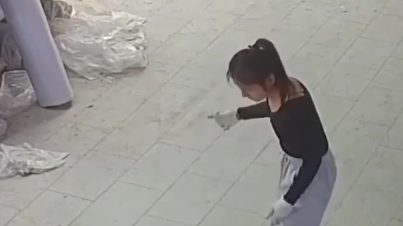 Funny video funny memes