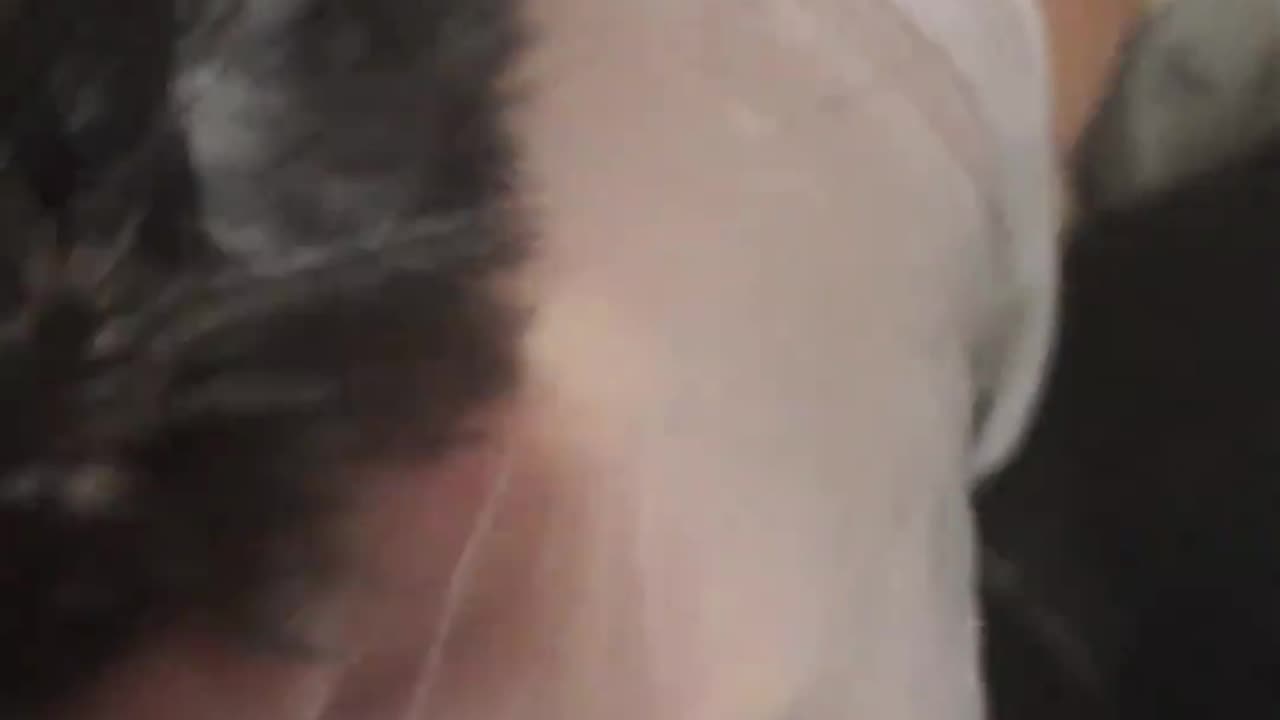 💔 The Diagnosis That Broke Hearts… But the Ending Will Make You Smile! 💛🐱