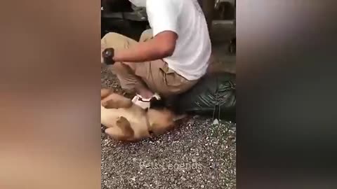 Funny video