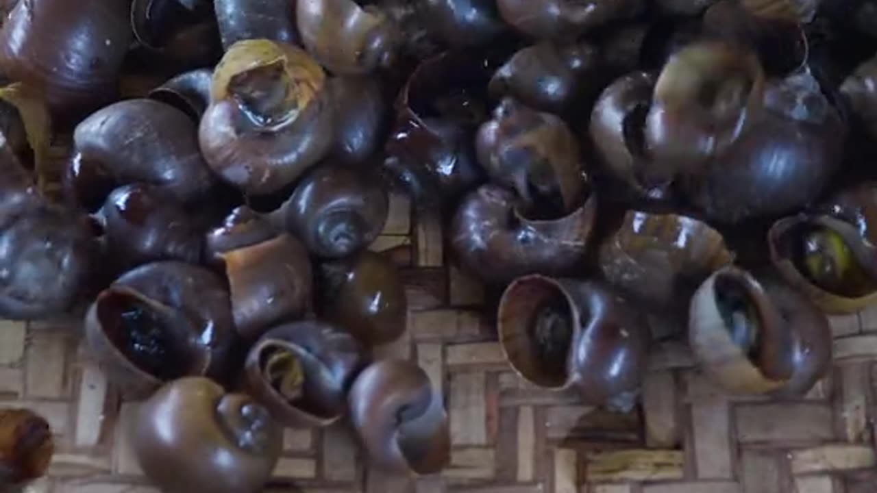 Cooking golden snails