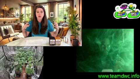 sativa scam