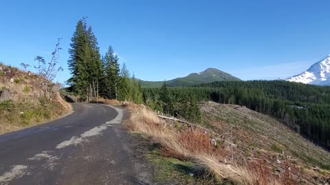 View of road to Lake Mowich, WA, with Mt. Rainier