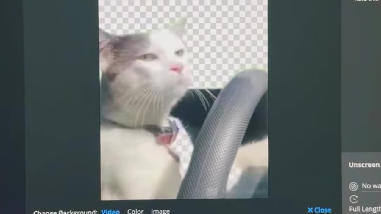এক ক্লিকে Video-gif থেকে Background Remove করুন