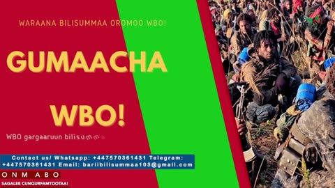 Gabaasa Gumaacha ONM-ABO Waxaabajjii 20-2025 itti dhiyaadhaa!