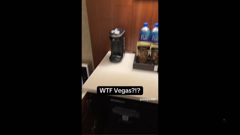 Las Vegas prices are impossible to afford now... What the hell are they doing?