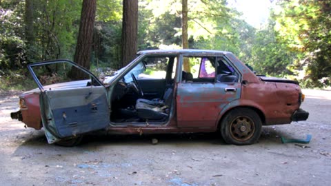 Modulating Male Disposability On A Microscale