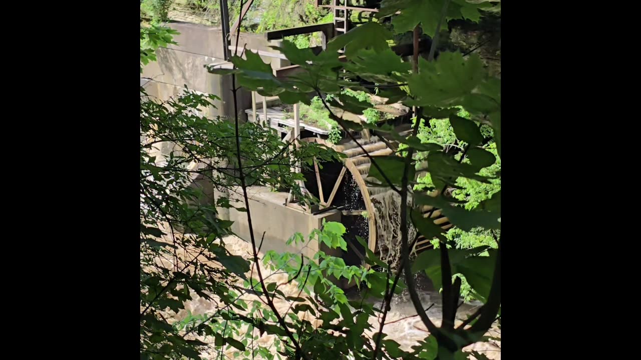 Garrettsville Summerfest 2025.