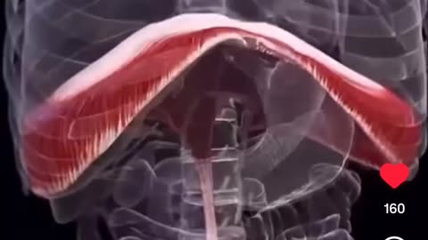 How Trapped EMOTIONS affect your BREATHING