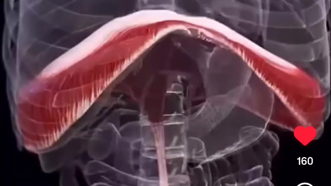 How Trapped EMOTIONS affect your BREATHING