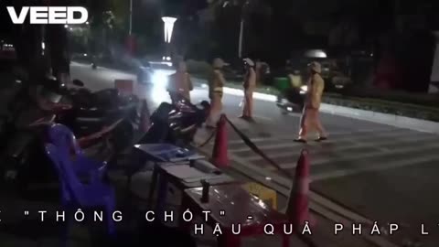 01-01-26 MÓN QUÀ ĐẦU NĂM CHO CHÓ VÀNG