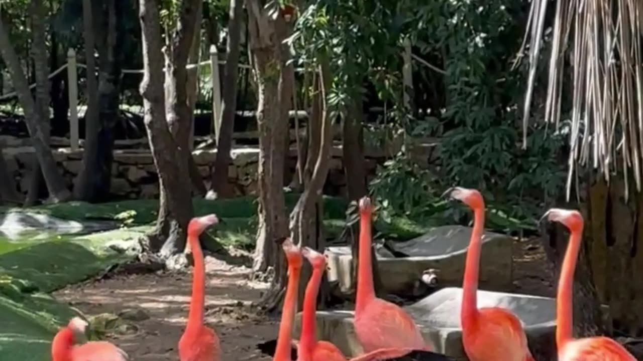 You are loved and blessed by Millions of Light Beings