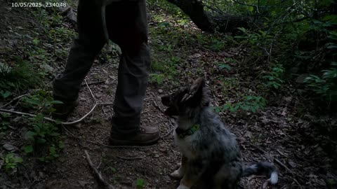 Interesting finds, exploring the mountain