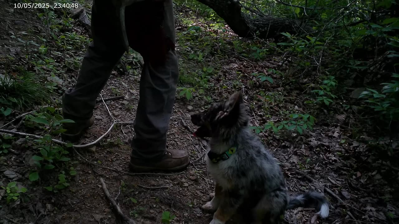 Interesting finds, exploring the mountain