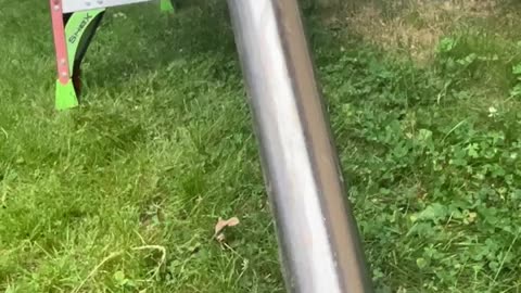 😂🔥 You Won't Believe This Wasp Nest Fail! | FunFM