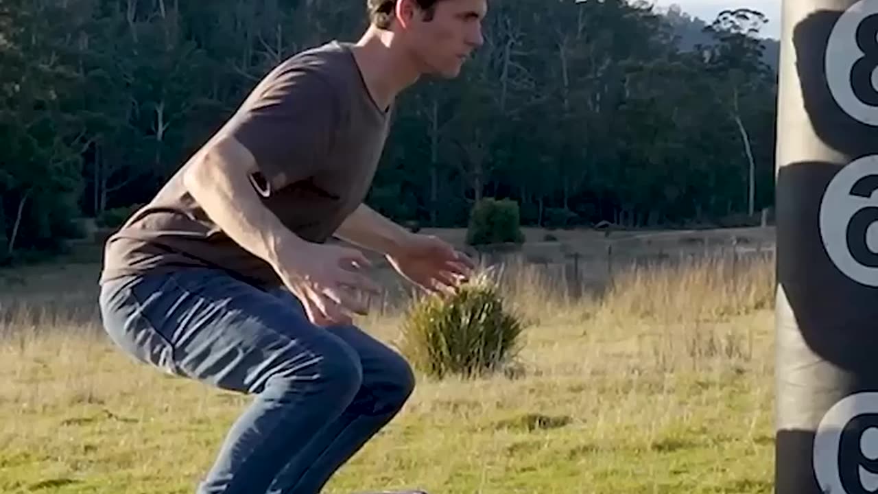 Don't miss this, "Wild Brawls: How Animals Fight! 🥊🐯 vs. 🦁 (Part 2)"