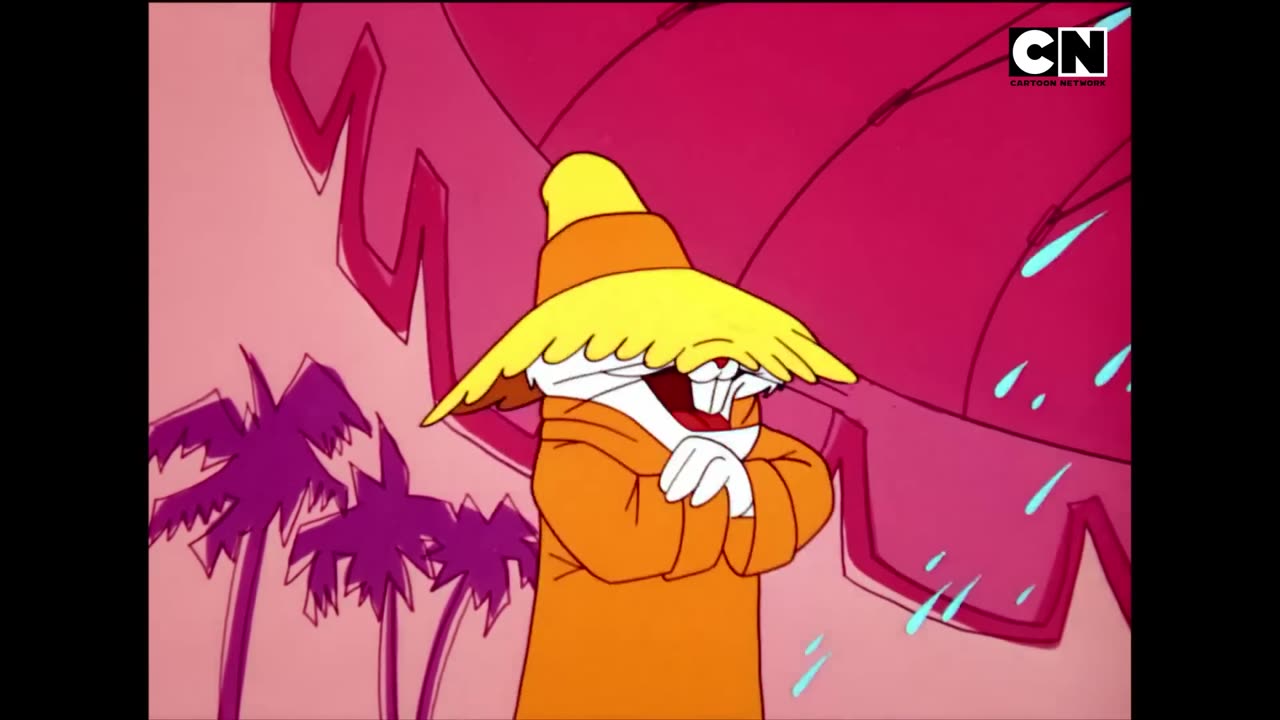 Looney Tunes Compilation 1 Hour