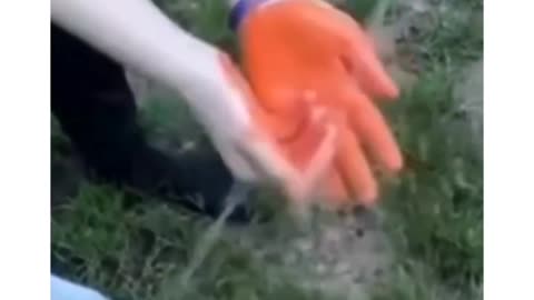 You Can’t Watch This Without Laughing 😹💣