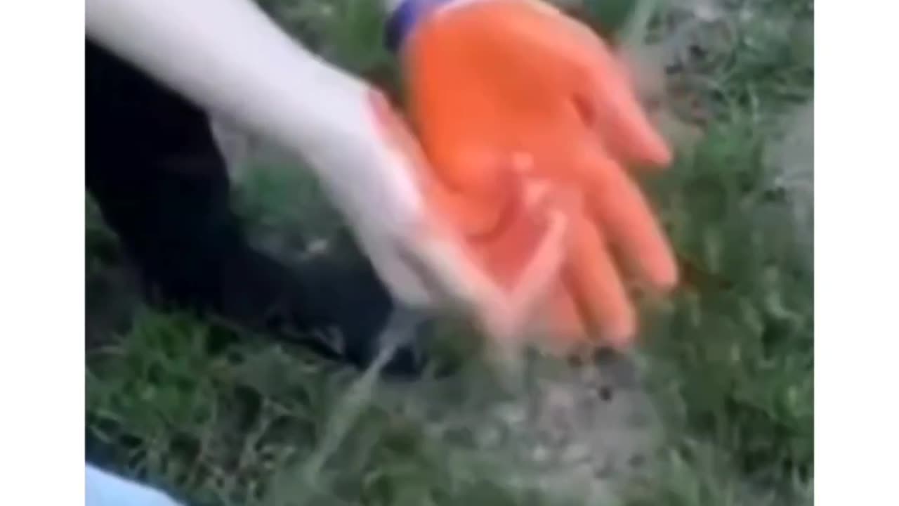 You Can’t Watch This Without Laughing 😹💣