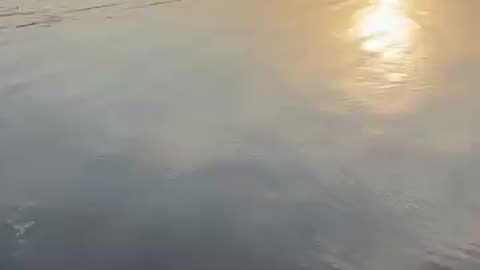 Lake Selyava - Belarus - beauties