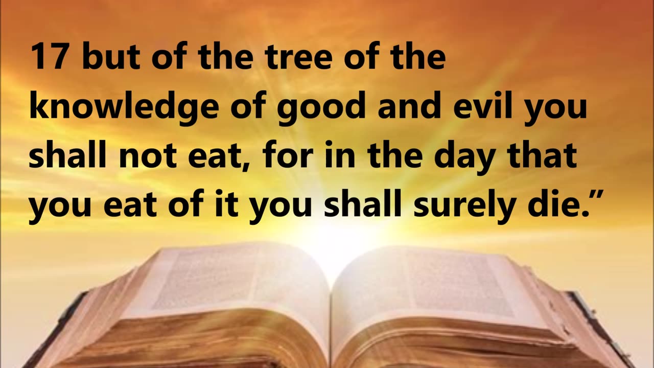 God’s command to Adam