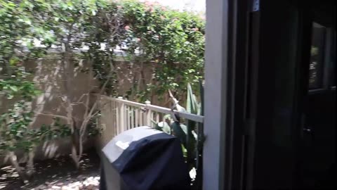 A Look Inside Frank Sinatra's House