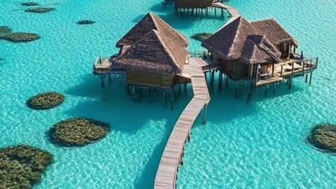 🌴 Paradise on Water 💦