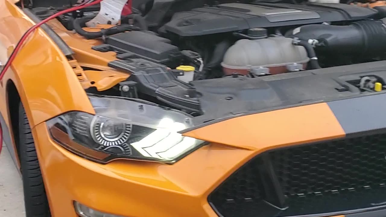 Problems for 2019 ford mustang