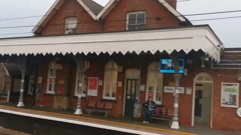 No Black Killer / Dog / Wolf / Here