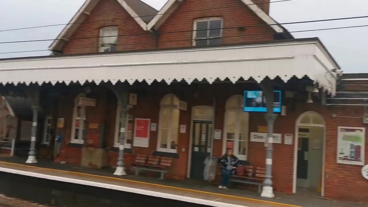 No Black Killer / Dog / Wolf / Here