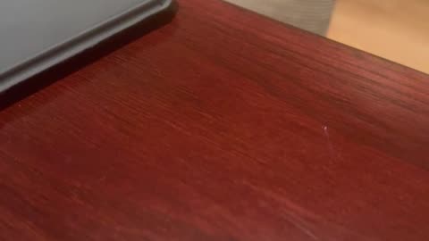 LIVE From Bible Fellowship Church