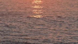 REMEMBER THE SABBATH