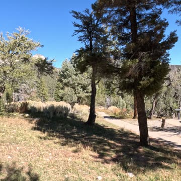 Trail Goodness Nature Mountain Vibes #sunshine #nostalgia #mountains Mt. Charleston Las Vegas NV