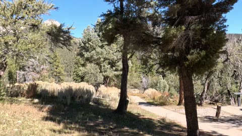 Trail Goodness Nature Mountain Vibes #sunshine #nostalgia #mountains Mt. Charleston Las Vegas NV