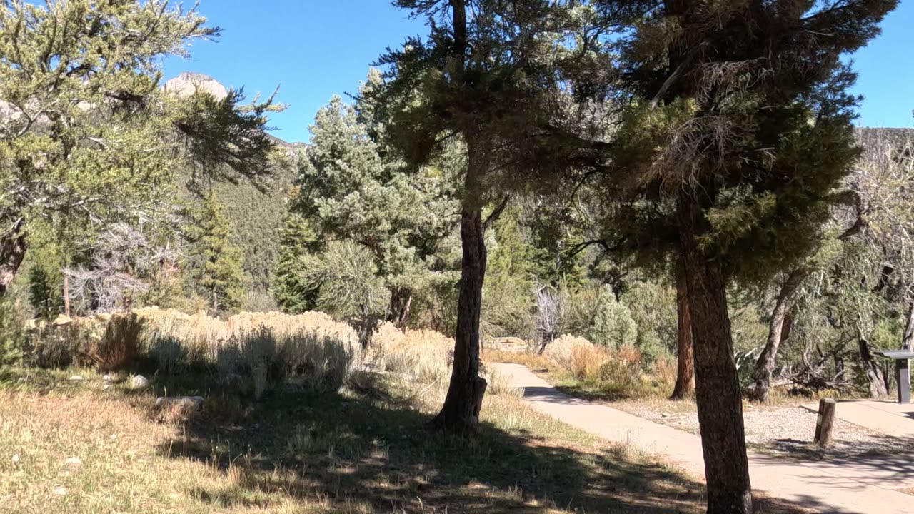Trail Goodness Nature Mountain Vibes #sunshine #nostalgia #mountains Mt. Charleston Las Vegas NV