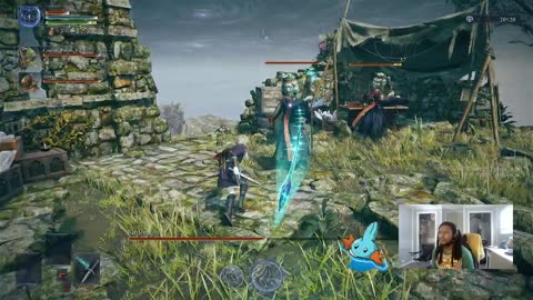Nightreign runs