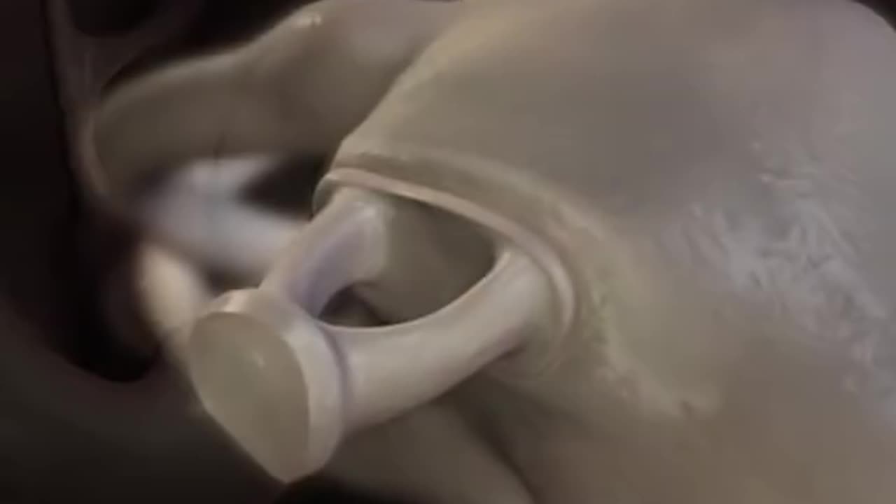 How Do We Hear 3D Animation