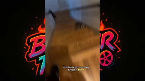 "Dogs Running Too Fast - Funny Compilation That'll Make You Laugh!"
