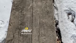 LIVING ON THE EDGE! Have fun everyone!