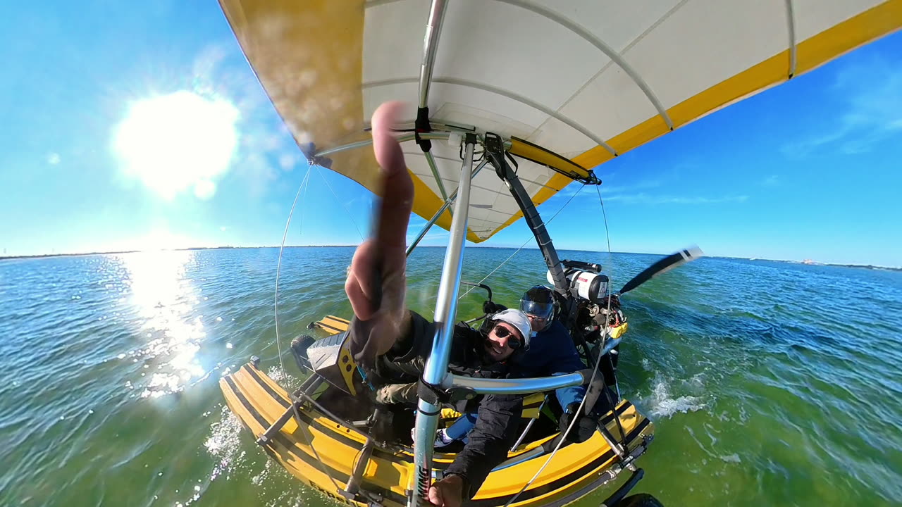 Flying Cygnet With Angelo