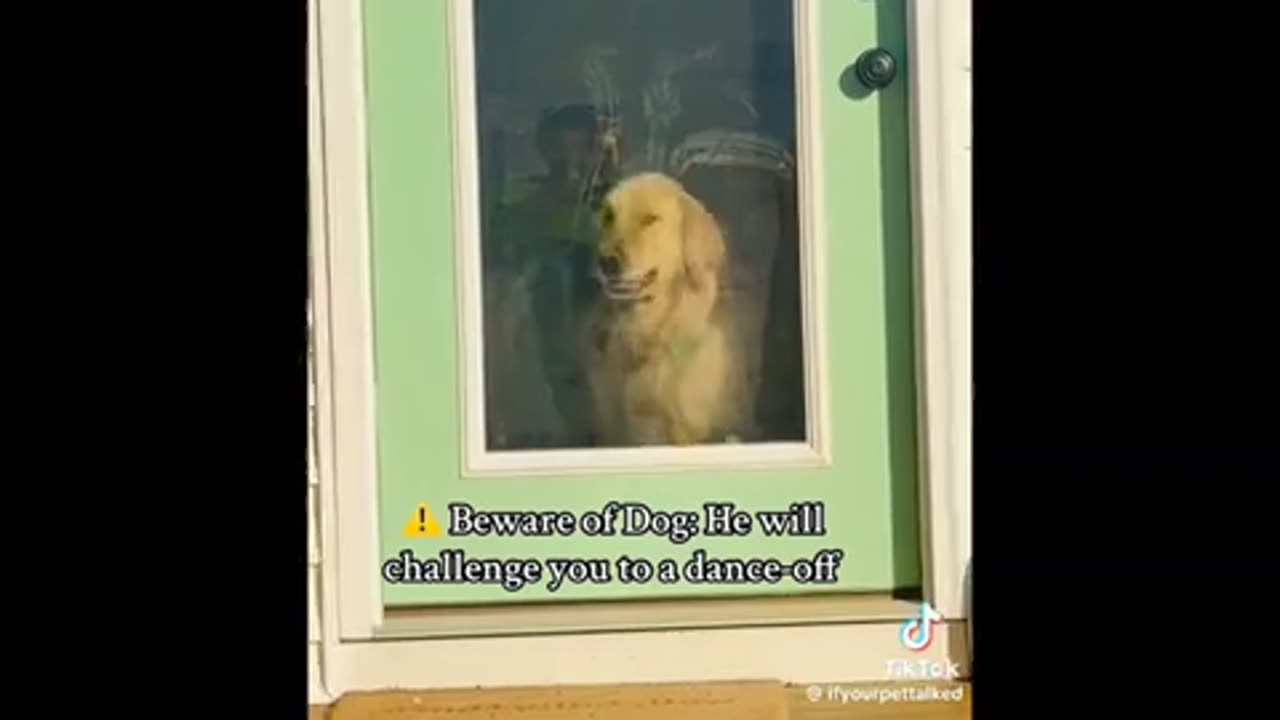 Need a laugh here and there :)
